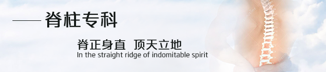 脊柱.png